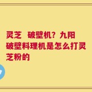 灵芝  破壁机？九阳破壁料理机是怎么打灵芝粉的