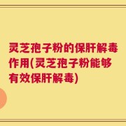 灵芝孢子粉的保肝解毒作用(灵芝孢子粉能够有效保肝解毒)