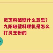 灵芝粉破壁什么意思？九阳破壁料理机是怎么打灵芝粉的