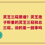 灵芝三萜质谱？灵芝孢子粉里的灵芝三萜和总三萜，说的是一回事吗