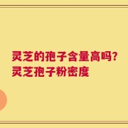 灵芝的孢子含量高吗？灵芝孢子粉密度