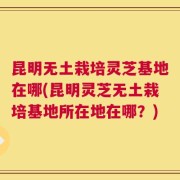 昆明无土栽培灵芝基地在哪(昆明灵芝无土栽培基地所在地在哪？)