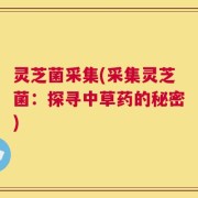 灵芝菌采集(采集灵芝菌：探寻中草药的秘密)