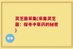 灵芝菌采集(采集灵芝菌：探寻中草药的秘密)