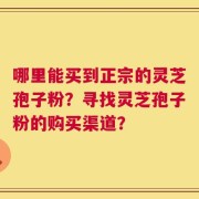哪里能买到正宗的灵芝孢子粉？寻找灵芝孢子粉的购买渠道？