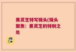 黑灵芝特写镜头(镜头聚焦：黑灵芝的特别之处