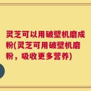 灵芝可以用破壁机磨成粉(灵芝可用破壁机磨粉，吸收更多营养)