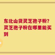 东北山货灵芝孢子粉？灵芝孢子粉在哪里能买到