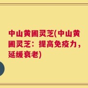 中山黄圃灵芝(中山黄圃灵芝：提高免疫力，延缓衰老)
