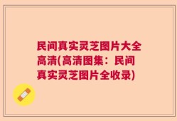 民间真实灵芝图片大全高清(高清图集：民间真实灵芝图片全收录)