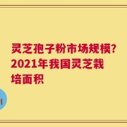 灵芝孢子粉市场规模？2021年我国灵芝栽培面积