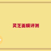 灵芝面膜评测
