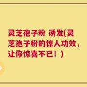 灵芝孢子粉 诱发(灵芝孢子粉的惊人功效，让你惊喜不已！)