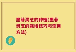 墨菲灵芝的种植(墨菲灵芝的栽培技巧与饮用方法)