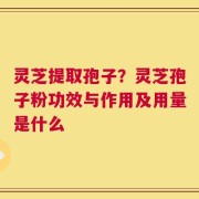 灵芝提取孢子？灵芝孢子粉功效与作用及用量是什么
