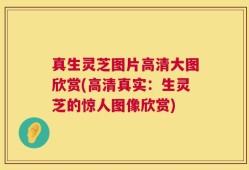 真生灵芝图片高清大图欣赏(高清真实：生灵芝的惊人图像欣赏)