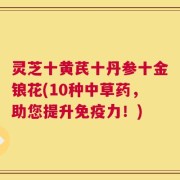 灵芝十黄芪十丹参十金锒花(10种中草药，助您提升免疫力！)