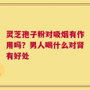 灵芝孢子粉对吸烟有作用吗？男人喝什么对肾有好处