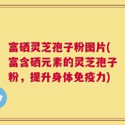 富硒灵芝孢子粉图片(富含硒元素的灵芝孢子粉，提升身体免疫力)