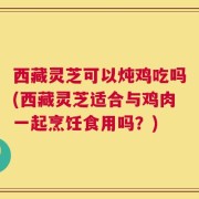 西藏灵芝可以炖鸡吃吗(西藏灵芝适合与鸡肉一起烹饪食用吗？)