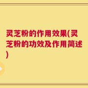 灵芝粉的作用效果(灵芝粉的功效及作用简述)