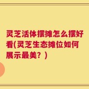 灵芝活体摆摊怎么摆好看(灵芝生态摊位如何展示最美？)