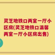 灵芝地铁口两室一厅小区房(灵芝地铁口温馨两室一厅小区房出售)