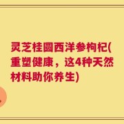灵芝桂圆西洋参枸杞(重塑健康，这4种天然材料助你养生)