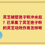 灵芝破壁孢子粉冲水后？已采集了灵芝孢子粉的灵芝功效作用怎样呢