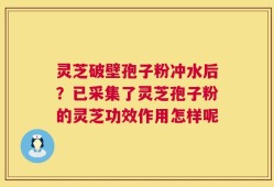 灵芝破壁孢子粉冲水后？已采集了灵芝孢子粉的灵芝功效作用怎样呢