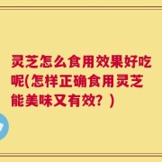 灵芝怎么食用效果好吃呢(怎样正确食用灵芝能美味又有效？)