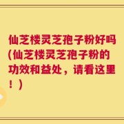 仙芝楼灵芝孢子粉好吗(仙芝楼灵芝孢子粉的功效和益处，请看这里！)