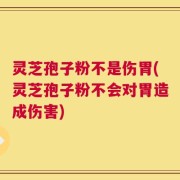 灵芝孢子粉不是伤胃(灵芝孢子粉不会对胃造成伤害)