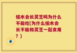 榆木会长灵芝吗为什么不能吃(为什么榆木会长不能和灵芝一起食用？)