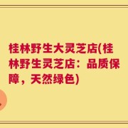 桂林野生大灵芝店(桂林野生灵芝店：品质保障，天然绿色)