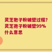 灵芝狍子粉破壁过程？灵芝孢子粉破壁99%什么意思