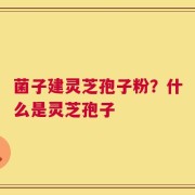 菌子建灵芝孢子粉？什么是灵芝孢子
