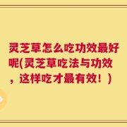 灵芝草怎么吃功效最好呢(灵芝草吃法与功效，这样吃才最有效！)