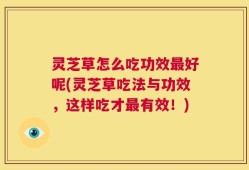 灵芝草怎么吃功效最好呢(灵芝草吃法与功效，这样吃才最有效！)