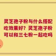 灵芝孢子粉与什么搭配吃效果好？灵芝孢子粉可以和三七粉一起吃吗