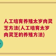 人工培育养殖太岁肉灵芝方法(人工培育太岁肉灵芝的养殖方法)