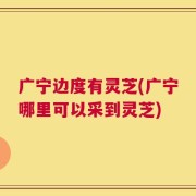 广宁边度有灵芝(广宁哪里可以采到灵芝)
