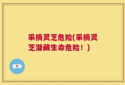 采摘灵芝危险(采摘灵芝潜藏生命危险！)
