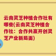 云南灵芝种植合作社有哪些(云南灵芝种植合作社：合作共赢开创灵芝产业新局面)