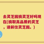 去灵芝园摘灵芝好吗现在(摘取高品质的灵芝，请前往灵芝园。)