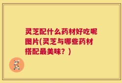 灵芝配什么药材好吃呢图片(灵芝与哪些药材搭配最美味？)