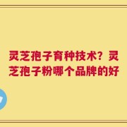 灵芝孢子育种技术？灵芝孢子粉哪个品牌的好