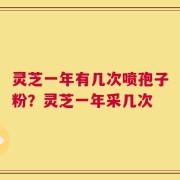 灵芝一年有几次喷孢子粉？灵芝一年采几次