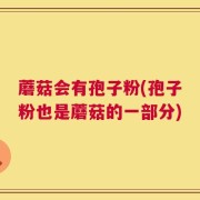蘑菇会有孢子粉(孢子粉也是蘑菇的一部分)