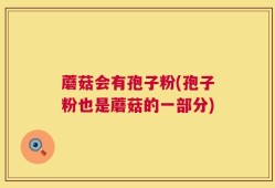 蘑菇会有孢子粉(孢子粉也是蘑菇的一部分)
